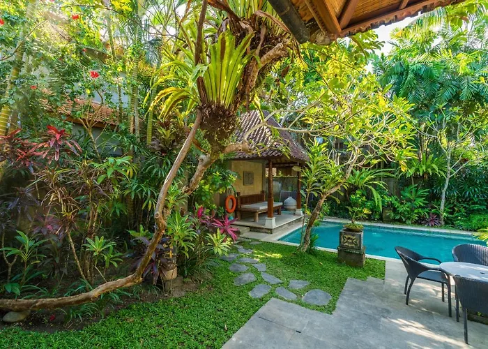 The Pause - Soca 3 Ubud