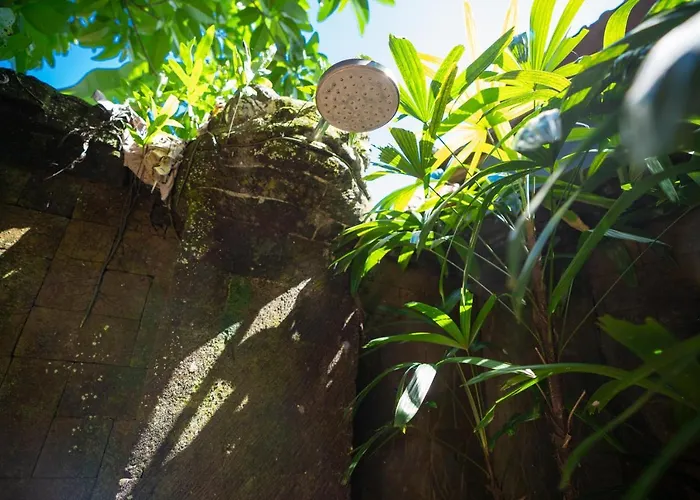 Casa rural The Pause - Soca 3 Ubud