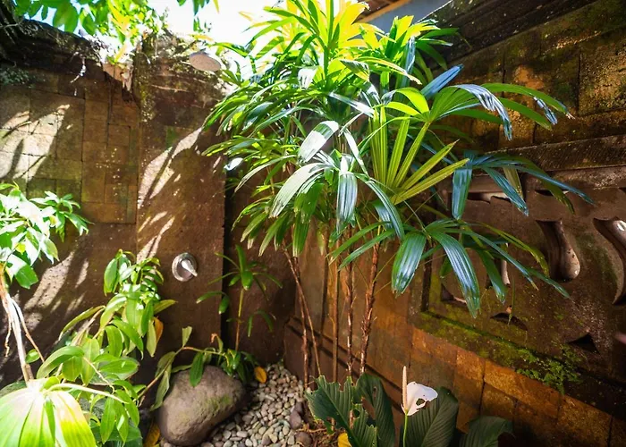 The Pause - Soca 3 Ubud
